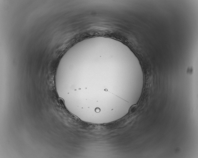 X0000112821109200909111316