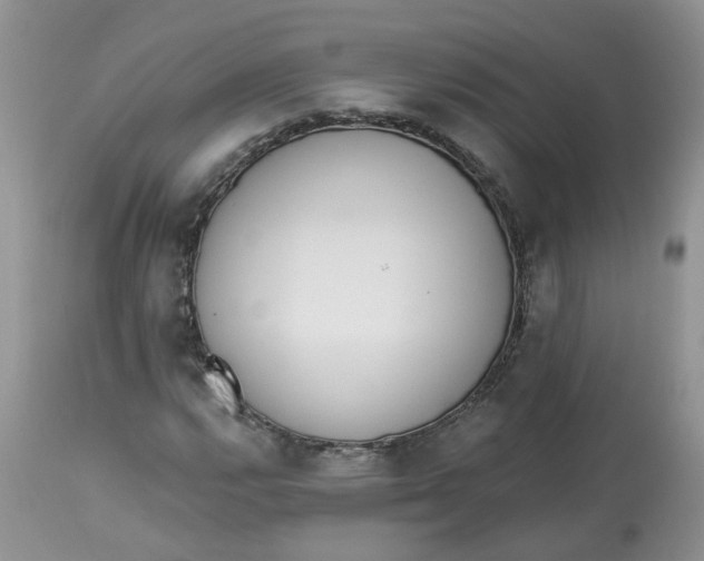 X0000112821112200909111316