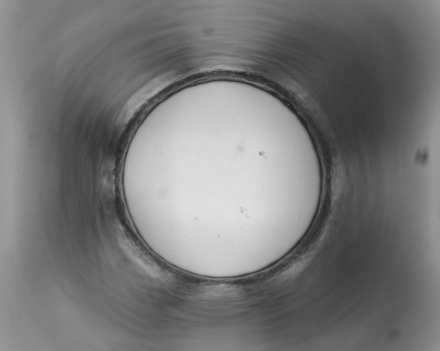 X0000112821113200909111316