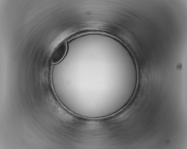 X0000112821114200909111316