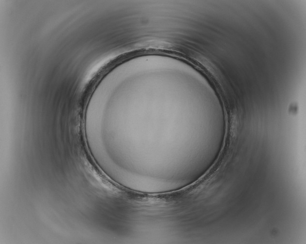 X0000112821115200909111316