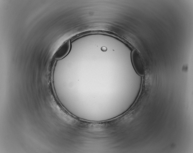 X0000112821116200909111316