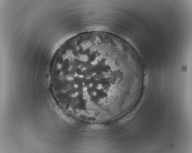 X0000112821117200909111316