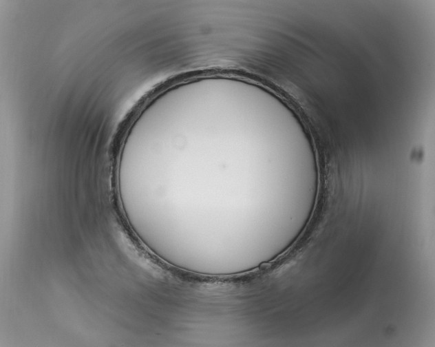 X0000112821118200909111316