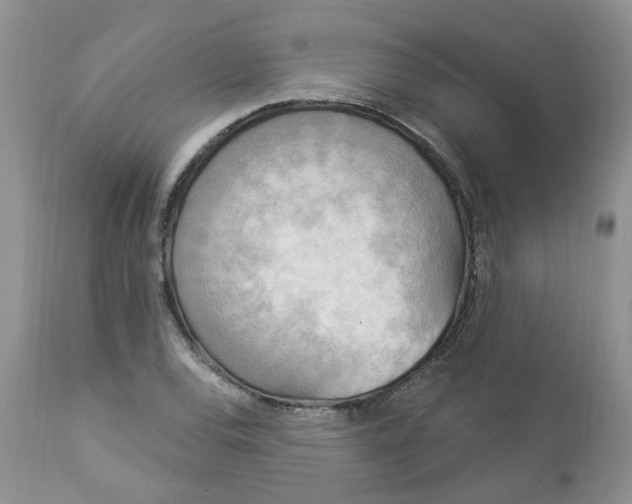 X0000112821120200909111316