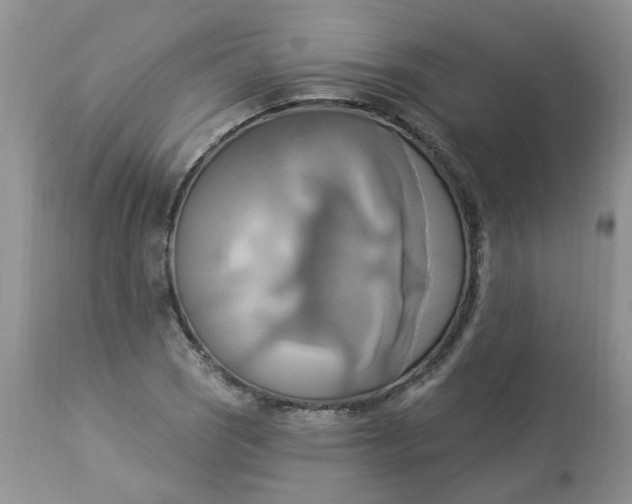 X0000112821121200909111316