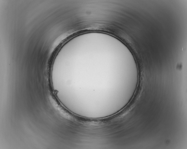 X0000112821122200909111316