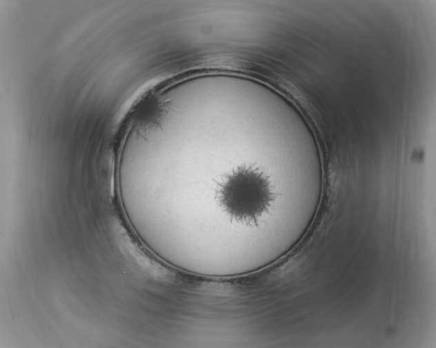 X0000112821123200909111316