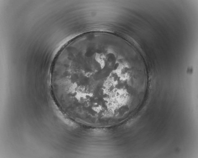 X0000112821125200909111316