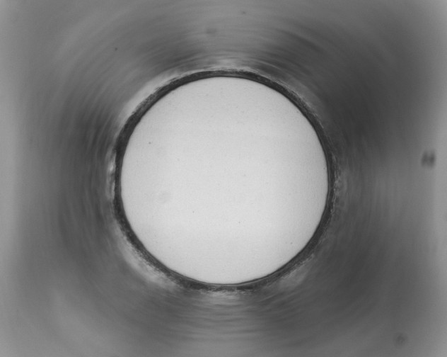 X0000112821126200909111316