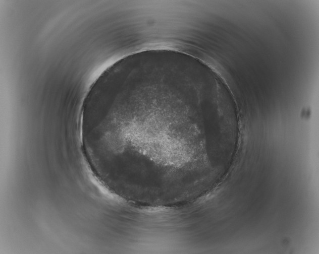 X0000112821127200909111316