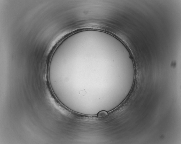 X0000112821131200909111316