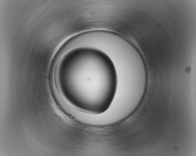 X0000112821132200909111316