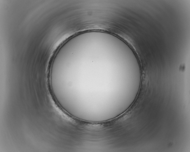 X0000112821135200909111316