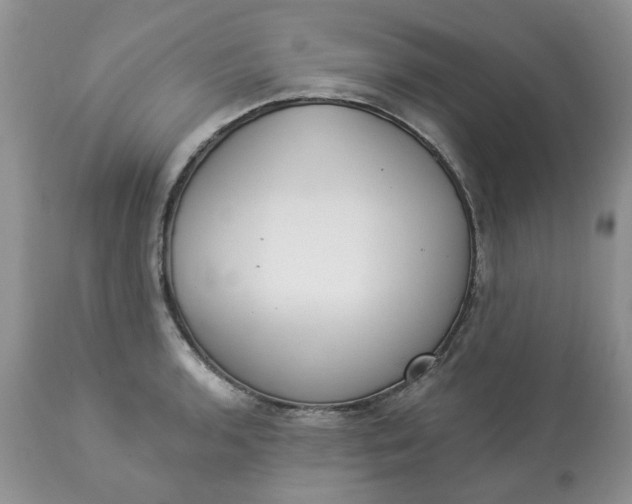 X0000112821136200909111316