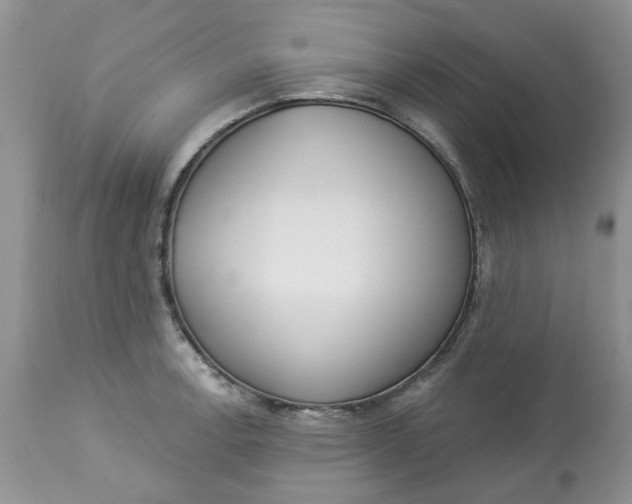 X0000112821138200909111316