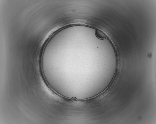 X0000112821139200909111316