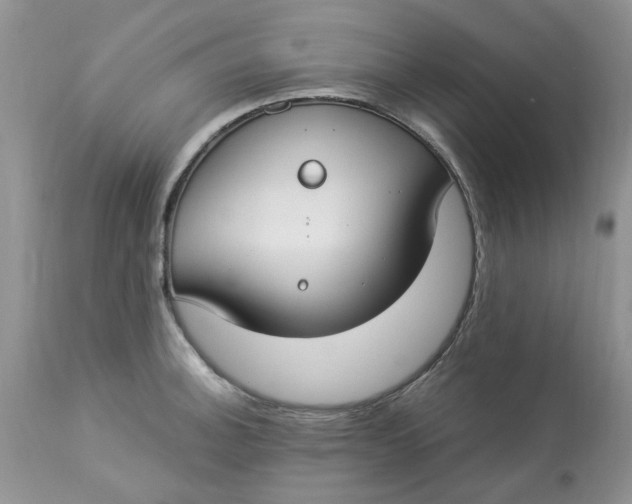 X0000112821140200909111316