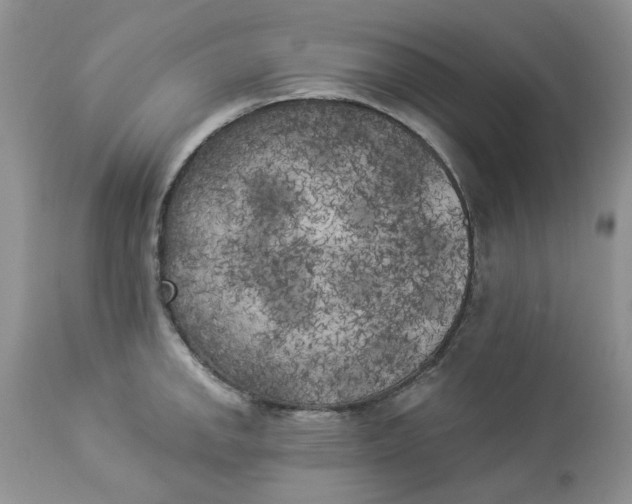 X0000112821142200909111316