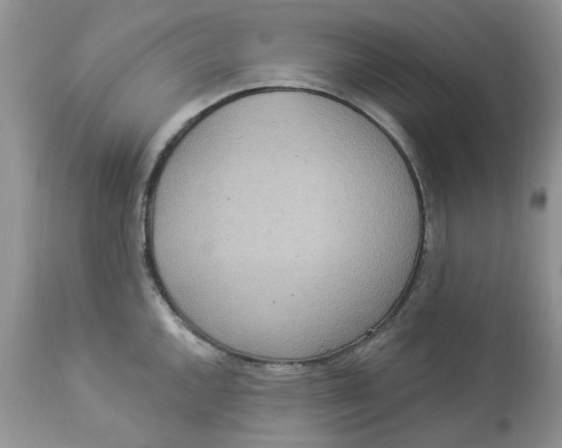 X0000112821144200909111316