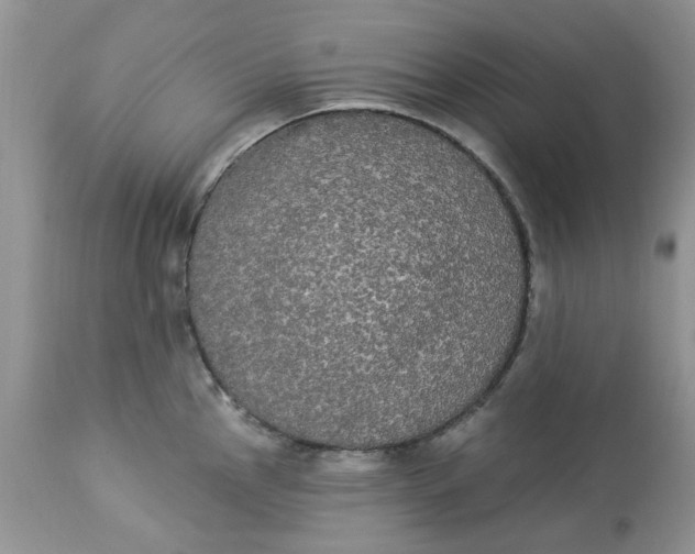 X0000112821145200909111316