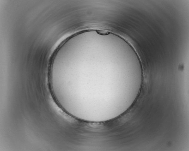 X0000112821147200909111316