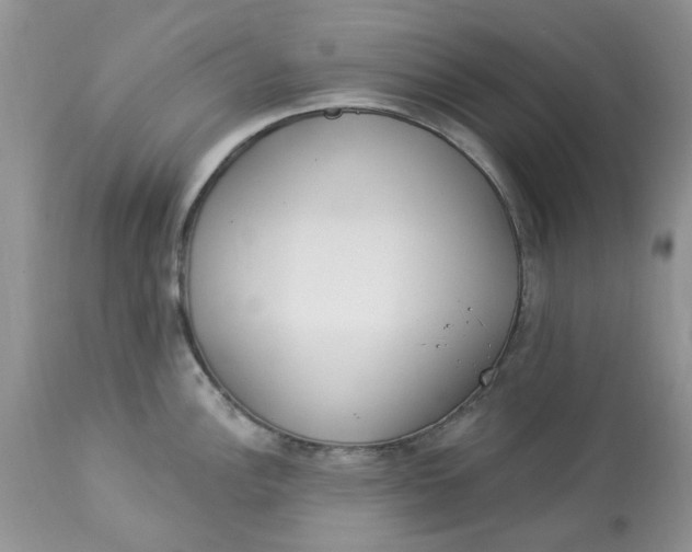 X0000112821148200909111316