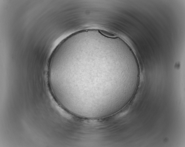 X0000112821149200909111316