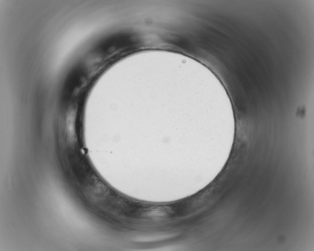 X0000112821150200909111316