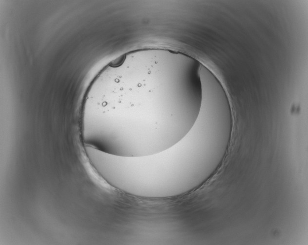 X0000112821152200909111316