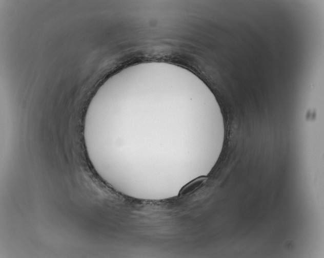 X0000112821153200909111316