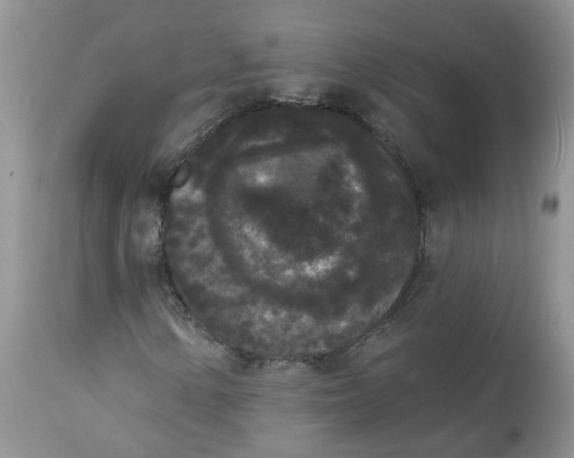 X0000112821154200909111316