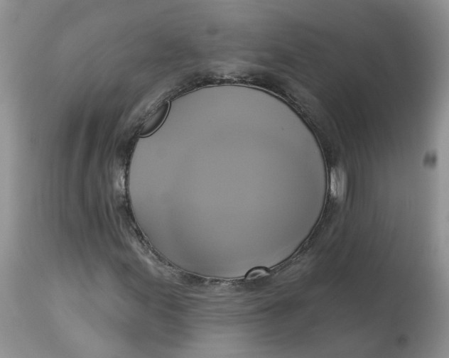 X0000112821155200909111316