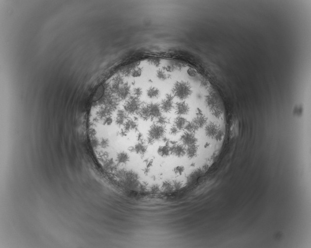 X0000112821156200909111316