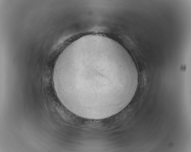 X0000112821158200909111316