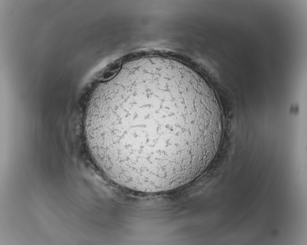 X0000112821159200909111316