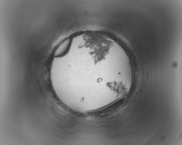 X0000112821160200909111316