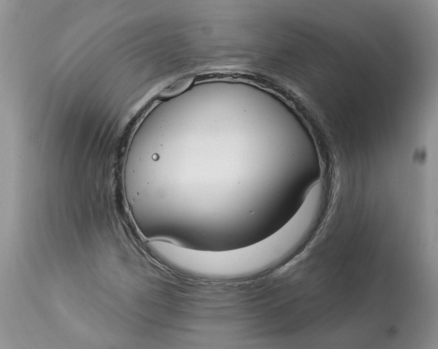 X0000112821162200909111315