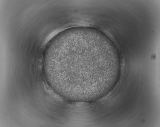 X0000112821163200909111315