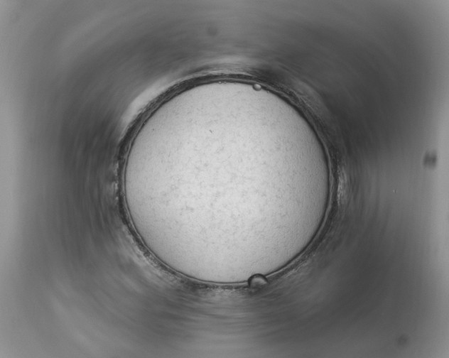 X0000112821164200909111315