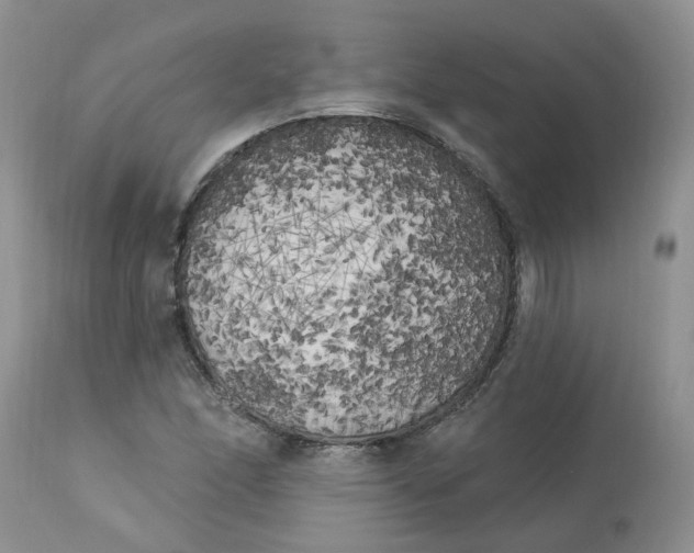 X0000112821166200909111315