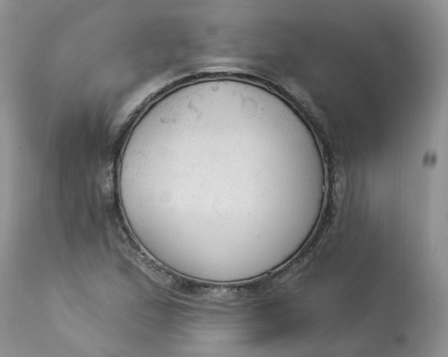 X0000112821167200909111315