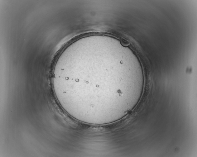 X0000112821168200909111315