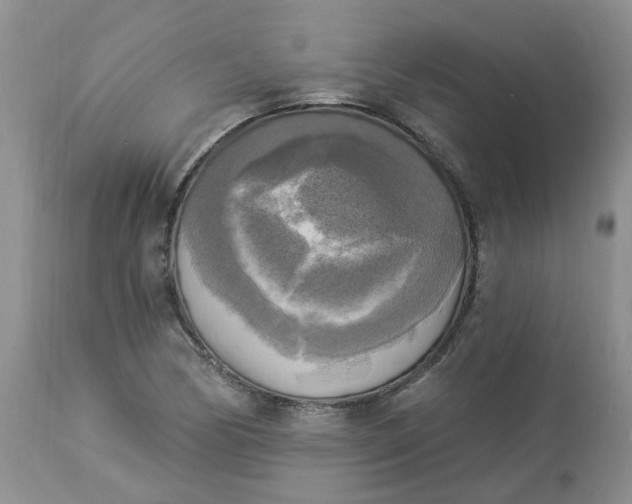 X0000112821170200909111315