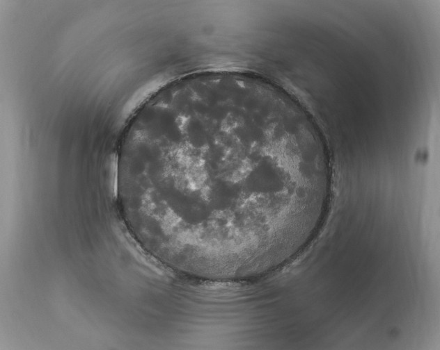 X0000112821171200909111315