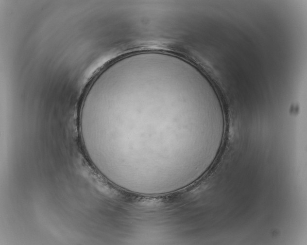 X0000112821174200909111315