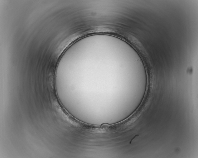 X0000112821177200909111315