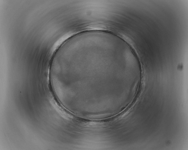 X0000112821179200909111315