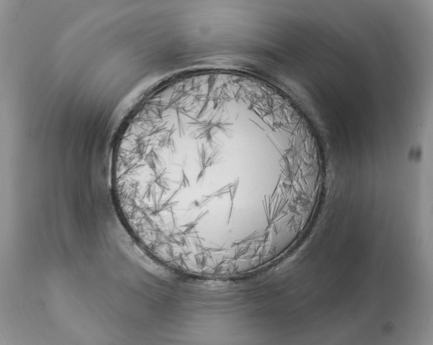 X0000112821180200909111315