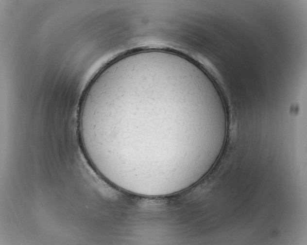 X0000112821183200909111315